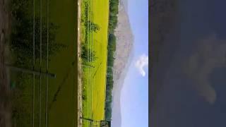 The Meadows Green Valley of Pampore | Mini Switzerland in Kashmir | Karanbir Singh Vlogs