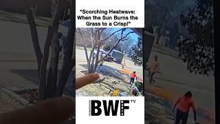“Scorching Heatwave: When Sun Burns the Grass a Crisp!”