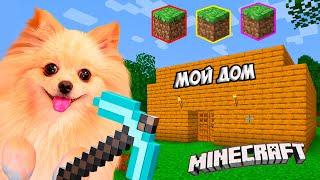 Я ВЕРНУЛАСЬ В МАЙНКРАФТ ! ПОСТРОИЛА СВОЙ МАЛЕНЬКИЙ ДОМИК ! MINECRAFT