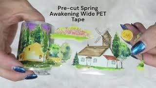 Let's unbox some of the  Washi Tape Shops NEW amazing PET tapes.  Video #517