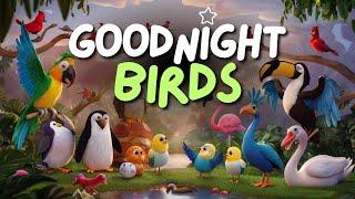 Goodnight Birds | Bedtime Stories for Kids and Toddlers | Relaxing Music | Eddy Kids World