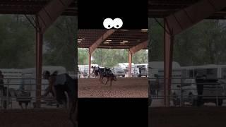 Horses fails 