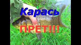 Карась ПРЕТ!!! Рыбалка на поплавочную удочку!