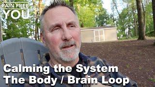 Calming the System - The Body / Brain Loop