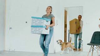 Tips for moving with a dog