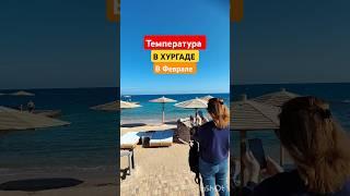 ХУРГАДА в ФЕВРАЛЕ! Отель Palm Beach Resort!