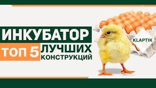 Инкубатор - ТОП 5 Лучших конструкций.