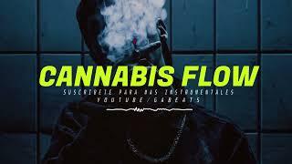 Base De Rap - Cannabis Flow - Reggae  instrumental 2024 | Beat Free