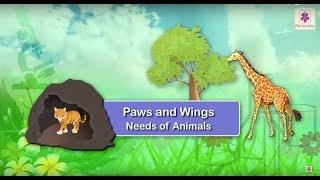 Paws and Wings - Needs Of Animals | Science Grade 1 | Periwinkle