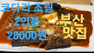 황금코다리 해운대