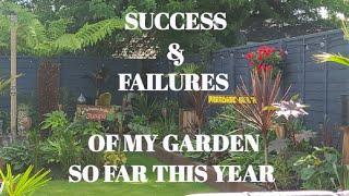 SUCCESS & FAILURES SO FAR THIS YEAR IN MY TROPICAL GARDEN 