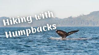 HUMPBACK WHALE HIKE | East Sooke Park