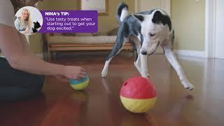 Outward Hound Treat Tumble Dog Puzzle By Nina Ottosson