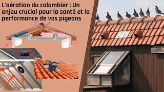 Loft ventilation: A crucial issue for the health and performance of your pigeons