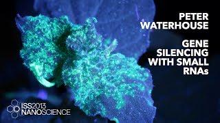 Gene Silencing with Small RNAs — Peter Waterhouse, ISS2013