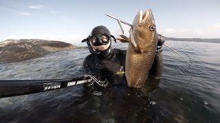 Spearfishing Norway - Best of 2014