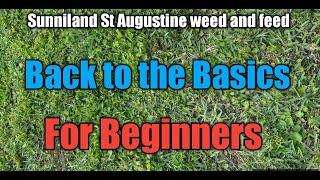 How to spray for weeds in your St Augustine Lawn