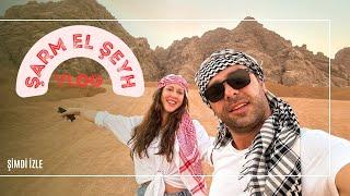 Şarm El Şeyh Vlog | Rixos Sharm, Sinai Çölü Safari, Tüplü Dalış