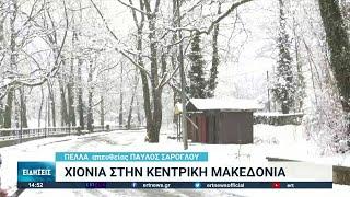 Προβλήματα από την "Μπιάνκα" στην Κεντρική Μακεδονία | 01/03/2022 | ΕΡΤ