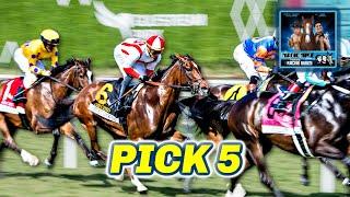 Gulfstream Park Preview & FREE Pick 5 Bets | The Magic Mike Show 575