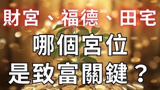 紫微斗數哪個宮位是致富關鍵?【財宮、福德宮、田宅宮】麥可大叔30年紫微斗數算命命理老師