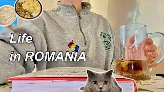 Daily Life in Romania, Shopping, Cooking Mujdei & Brussel Sprouts, Cozy Autumn Days  A Silent Vlog