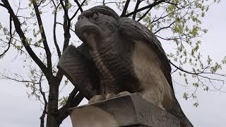 Exploring Philadelphia: Week 5: Saint Joseph's University (Travel Vlog)