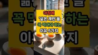 아침에 '삶은 계란'을 꼭 먹어야 하는 이유 5가지 #면역 #음식 #건강 #계란