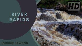 Forest Waterfall Nature Sounds - River Rapids - HD 1 Hour Birdsong Version - Relaxing Series Ep.21