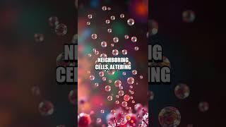 The Remarkable Discovery of Cell-Cell Communication