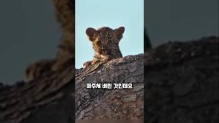 눈 마주친 순간 끝났습니다