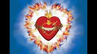Joyful Mysteries - Pro-Life Holy Rosary.