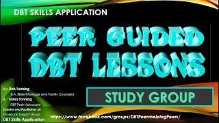 About the Lesson Group (Peer Guided DBT Lessons)