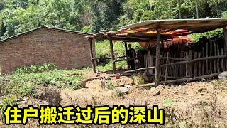 山里都搬迁完了，剩下400亩土地丢荒，看着可惜又无奈【山农乐哥】