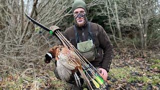 Recurve Bow Pheasant - Traditional Bowhunting for pheasant - Tales From the Willows