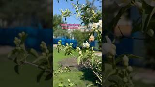 Природа по-прежнему лучший из художников #малаяродина #тамбовскаяобласть