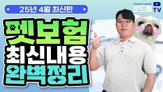 2025년 최신 펫보험 완벽정리! 이대로만 따라하시면 100점입니다 (6개 보험사 보험료, 보장 비교)