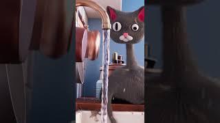 Cat vs water