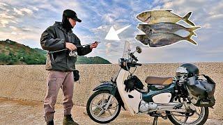 2 Nights Of Fishing On A Small Korea Island [ 110cc Motorcycle Camping ]