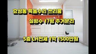 효성동 특올수리 실평수17평 쓰리룸 LH전세 1억1500만원