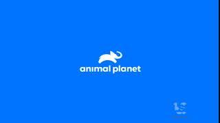 Animal Planet (2018/2019)