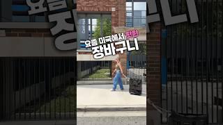 패피들은 다 이거 들어요! 마트, 여행, 캠핑 다되는 캐리어! #살림템 #장바구니 #롤링토트백 #캐리어