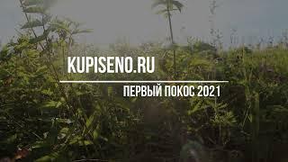 Свежее, луговое сено в тюках с заливных лугов для вашего фермерского хозяйства! Kupiseno.ru