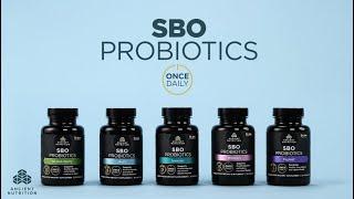 SBO Probiotics Once Dailies | Ancient Nutrition