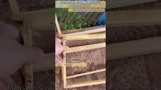 Основные шаги для начала пчеловодства!