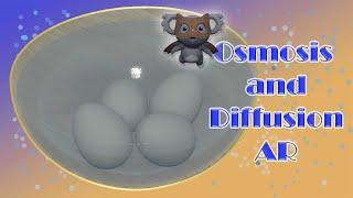 Osmosis and Diffusion AR | Bouncy egg | AR experiment