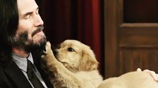 The Puppy Want to Touch Keanu Reeves Face