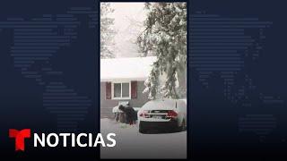 Varias comunidades del noreste están sepultadas bajo nieve #Shorts | Noticias Telemundo