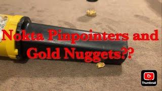 Nokta Pinpointers and Gold Nuggets - Testing