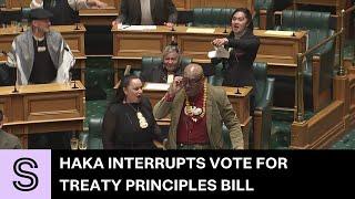 Haka interrupts vote for Treaty Principles Bill | Stuff.co.nz